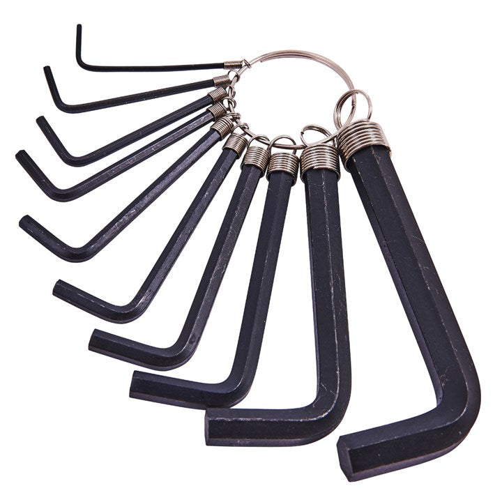 Amtech 10 Piece Hex Key Set and Keyring