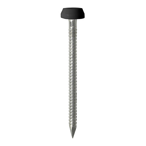 Polymer Headed Pins - A4 Stainless Steel - Black 40mm - 250 pack