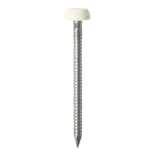Polymer Headed Pin - White 40mm - 50 pack