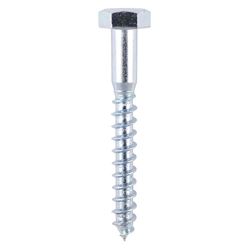Coach Screw DIN 571 - BZP - 6.0 x 100 - 10 pack