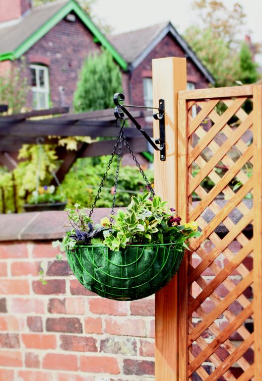 Ambassador Hanging Basket Bracket 35cm/14" Black product image