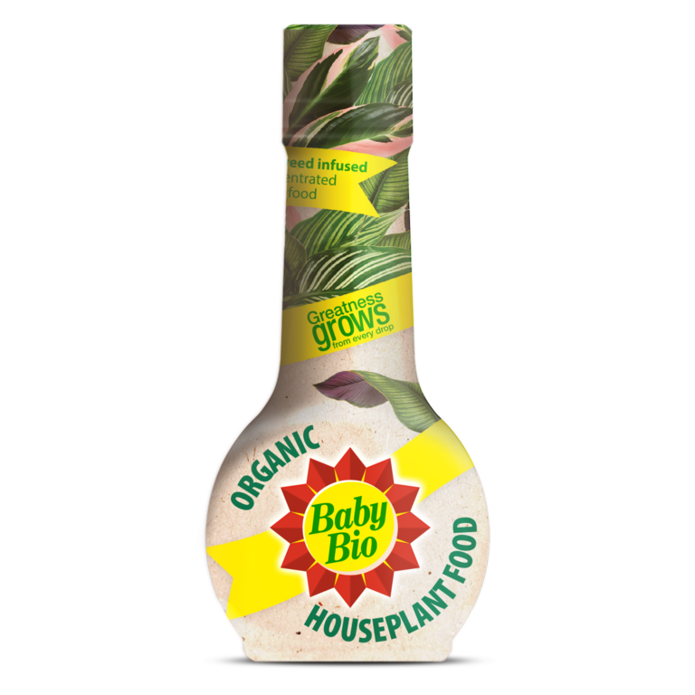 Baby Bio Organic Houseplant Food product image
