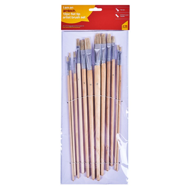 Amtech 12 Piece Flat Tip Art Brush Set