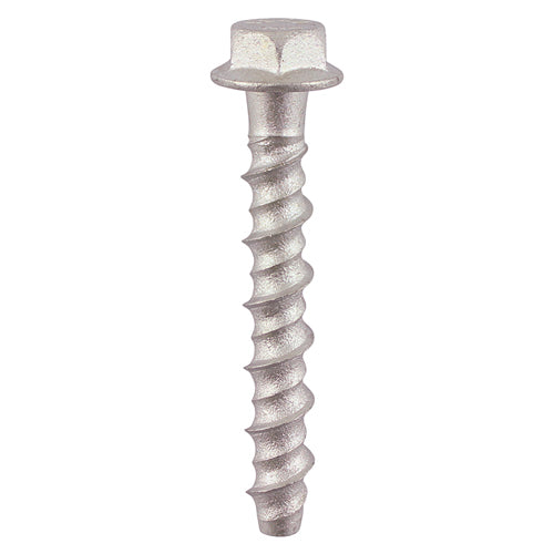 Multi-Fix Masonry Bolts - Hex Flange - Exterior - Silver 6.0 x 100 Box 100