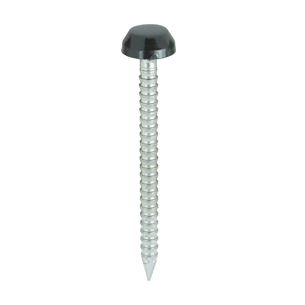Polymer Headed Pin - A4 Stainless Steel - Black - 250 pack