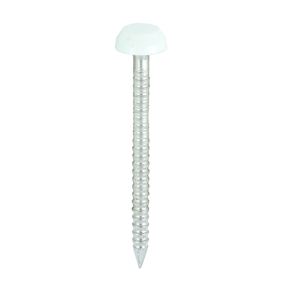 Polymer Headed Pin - A4 Stainless Steel - White 30mm  - 250 pack